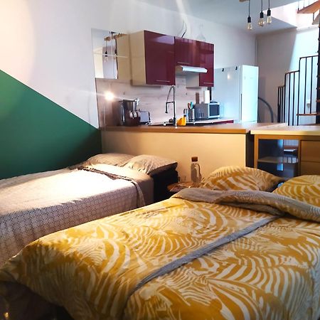 Spacieux Appartement Au Calme 15Min Sud De Lyon Proche Metro Et Gare Confluence Aquarium Gerland Oullins Eksteriør bilde